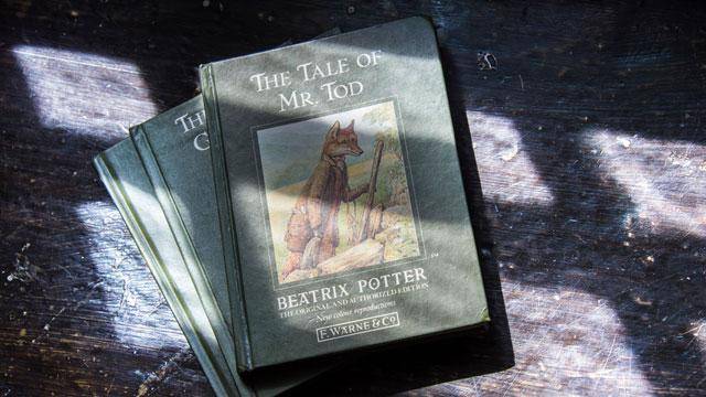 Beatrix Potter, The tale of Mr Todd